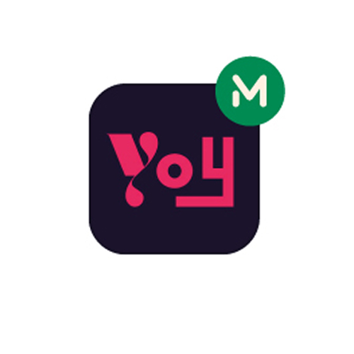 Logo YOY